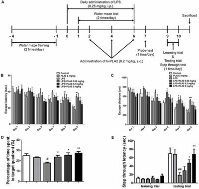 Bee Venom Soluble Phospholipase A2 Exerts Neuroprotective Effects in a Lipopolysaccharide-Induced Mouse Model of Alzheimer’s Disease via Inhibition of Nuclear Factor-Kappa B
